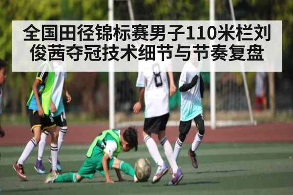 全国田径锦标赛男子110米栏刘俊茜夺冠技术细节与节奏复盘
